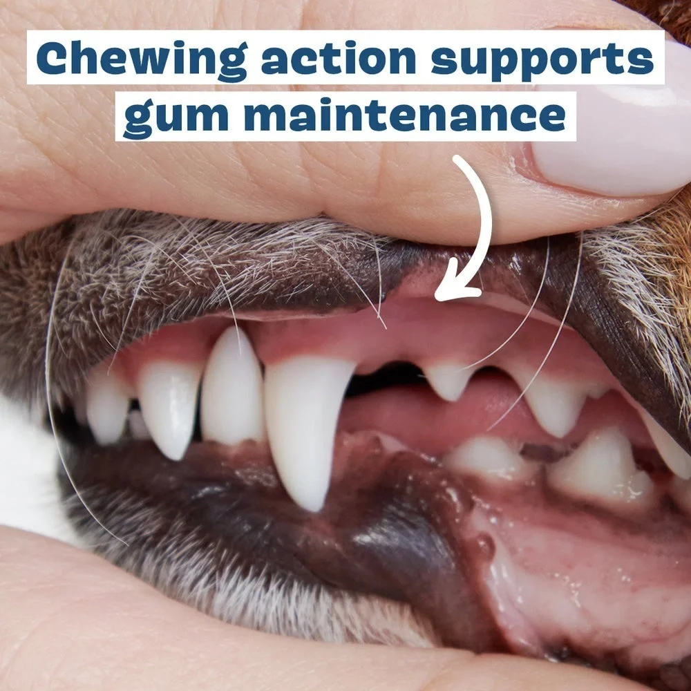 3 bags Dog dental chew Bark Bright Dental sticks large dogs teeth dental care